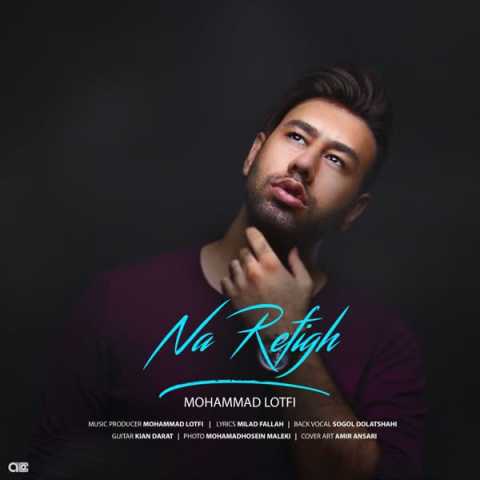 Mohammad Lotfi Narefigh